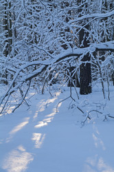 Similar image 21170080