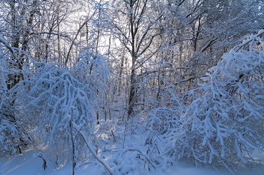 Similar image 21167439