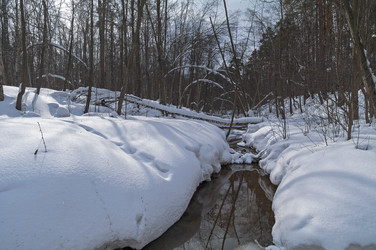 Similar image 21167441