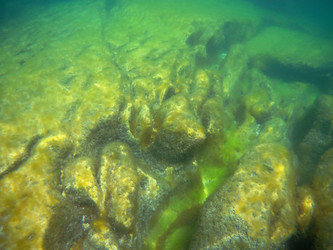 Similar image 21168426