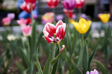 Similar image 21175172