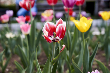 Similar image 21175173