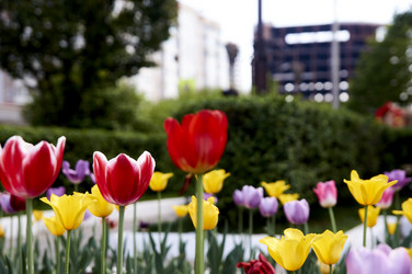 Similar image 21175176