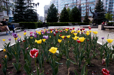 Similar image 21175177