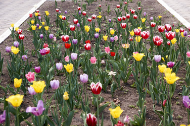 Similar image 21175178