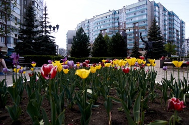 Similar image 21175179