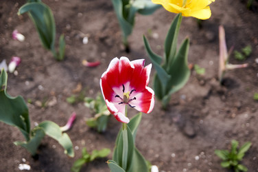 Similar image 21175180