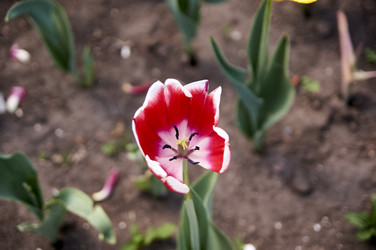 Similar image 21175181