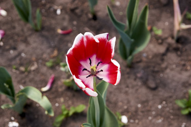 Similar image 21175182