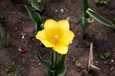 Similar image 21175183