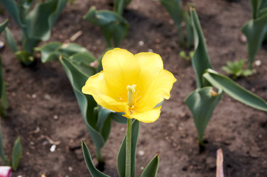 Similar image 21175184