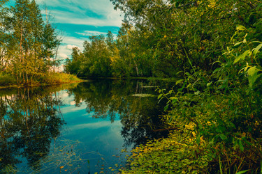 Similar image 21172389