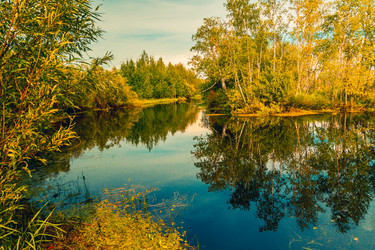 Similar image 21174558