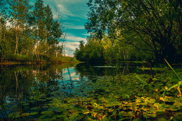 Similar image 21174621