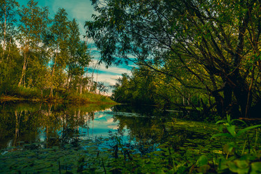 Similar image 21174622