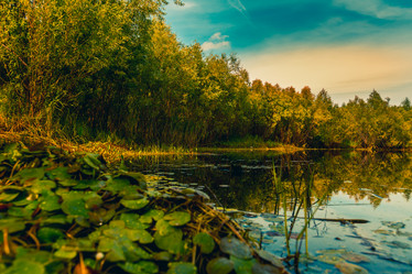 Similar image 21174623