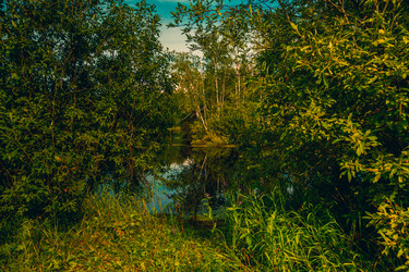 Similar image 21174624