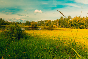 Similar image 21174625