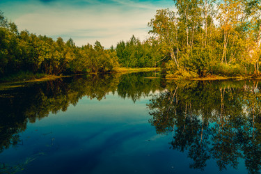 Similar image 21174626