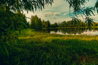 Similar image 21174627