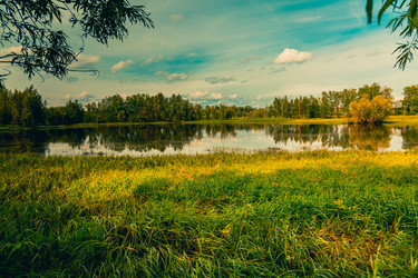 Similar image 21174628