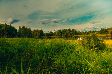 Similar image 21174629