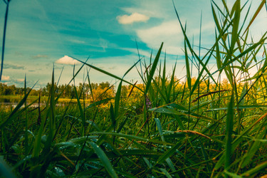 Similar image 21174630