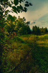 Similar image 21174631