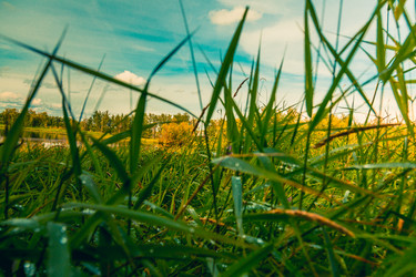 Similar image 21172161