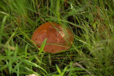 Similar image 21174632