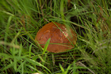 Similar image 21174633