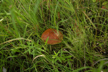 Similar image 21174634