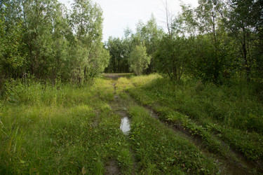 Similar image 21172162