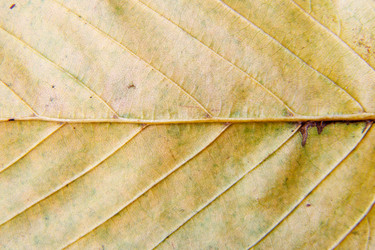 Similar image 21176377