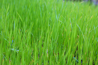 Similar image 21167444