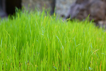 Similar image 21167445