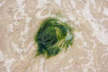 Similar image 21176476