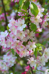 Similar image 21167951