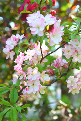 Similar image 21167953