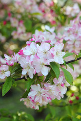 Similar image 21167955