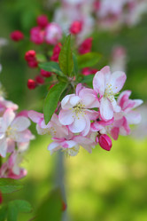 Similar image 21167956