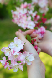 Similar image 21167957