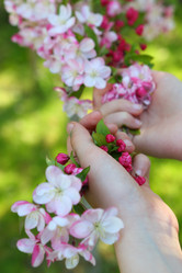 Similar image 21167958