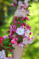 Similar image 21167960