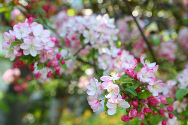 Similar image 21167962