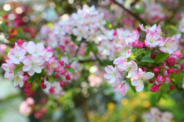 Similar image 21167963