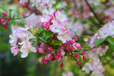 Similar image 21167965