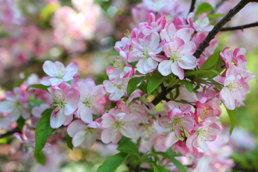 Similar image 21167966