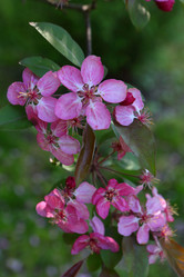 Similar image 21167967