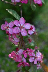 Similar image 21167968